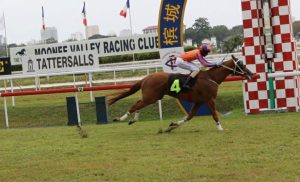 Penang turf club