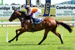 Melody Belle winning at Ruakaka 12th October